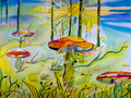 Amanita muscaria