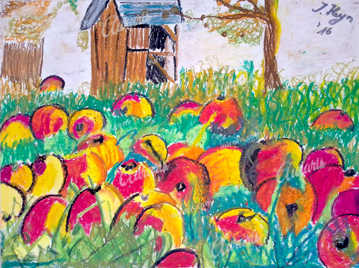 Idylle Campagnarde Automne Sur La Campagne Avec Pommiers Mûrs Et Petite Grange Rénovée
